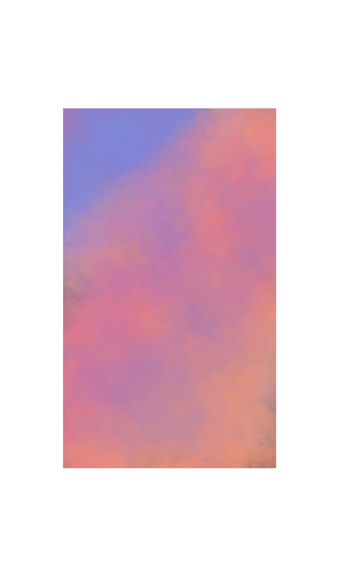 S.S., A work by ENEA BATTISTA SERRA | PITTRICE
